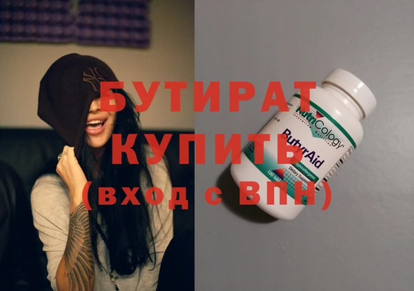 индика Няндома