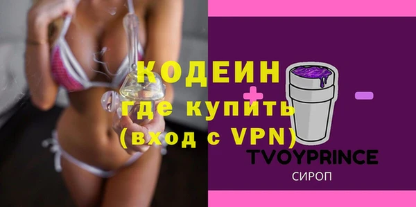 сатива Инта