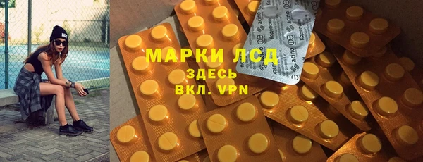 спайс Каменка