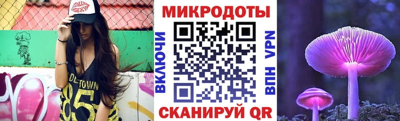 Псилоцибиновые грибы Psilocybine cubensis  Красавино 